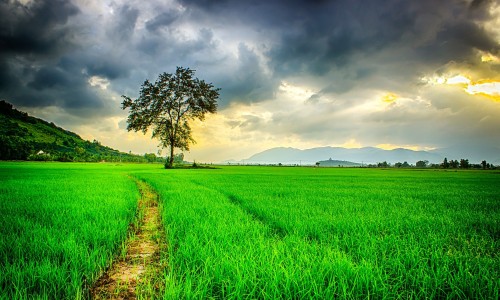用药后下面排出纸一样的东西-下面用药之后排出很多脏东西、下面用药后有东西排出来正常吗 -阴道用药后有水状的东西流出来网