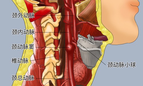 下面用药之后排出很多脏东西、下面用药后有东西排出来正常吗 -阴道用药后有水状的东西流出来网